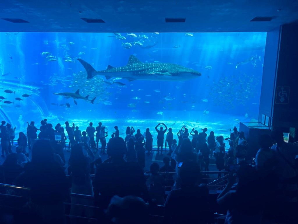 美ら海水族館