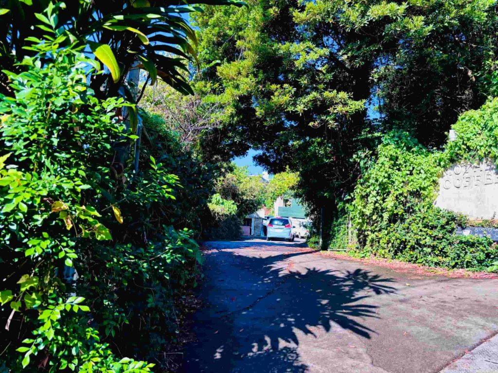 MOTHER COFFEE（マザーコーヒー）