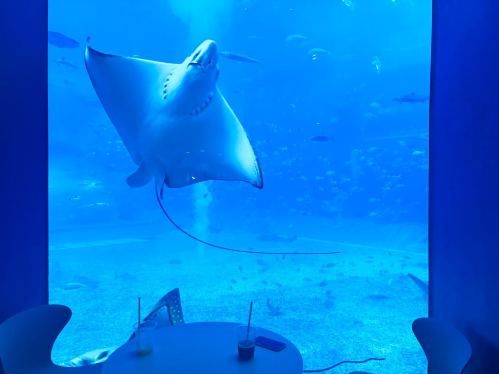 カフェオーシャンブルー